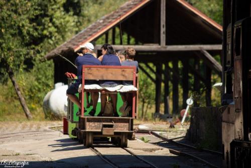 IMG_1194 (Large)