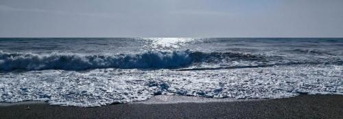 IMG_20241115_104521