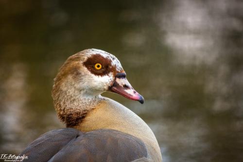 IMG_2566