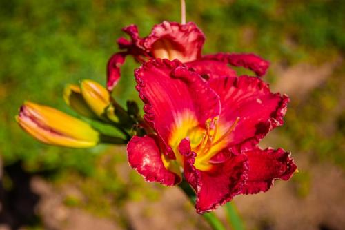 IMG_2740