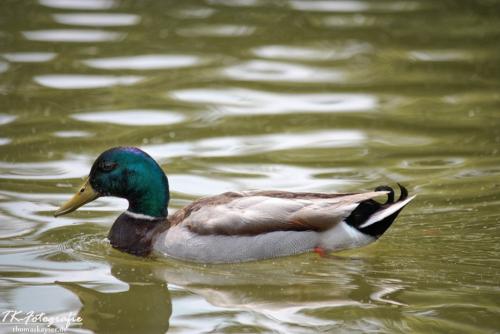 IMG_2959_easyHDR