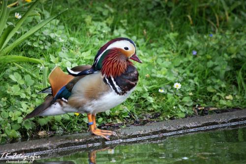 IMG_2985_easyHDR