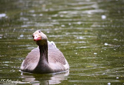 IMG_2988_easyHDR