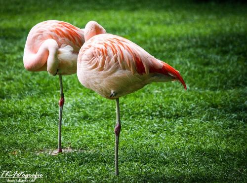IMG_3018_easyHDR