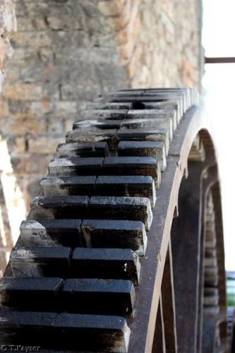 IMG_4295_g (Custom)