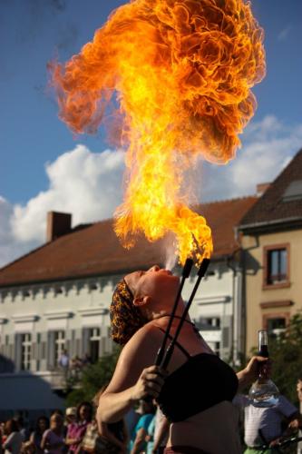 IMG_5246-2