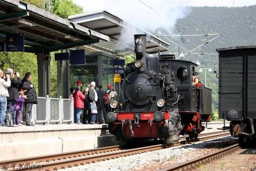 IMG_7407_g (Custom)