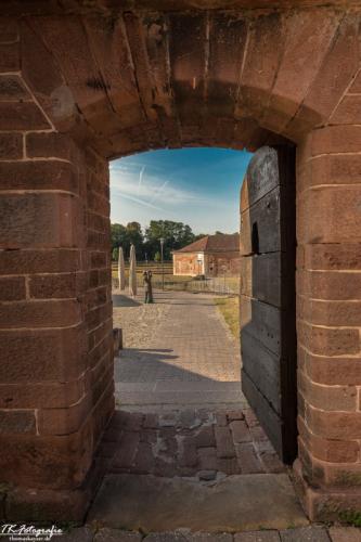 IMG_7595