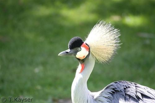 IMG_8350_g (Custom)