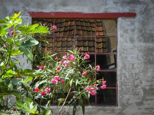 P1010420