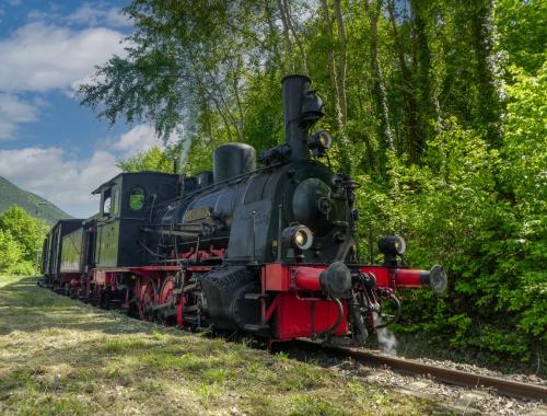 P1020735 Kopie-1
