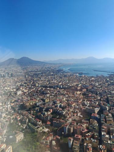 IMG 20240129 132005
