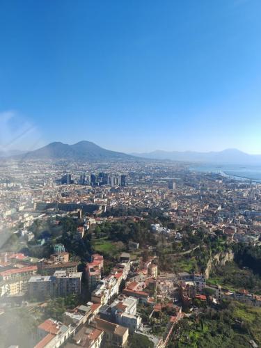 IMG 20240129 132020