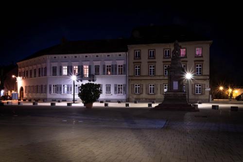 IMG 2519-2